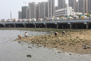 湛江城市河畔的休闲场景