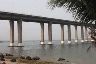 湛江海上长桥与岸边椰树景观