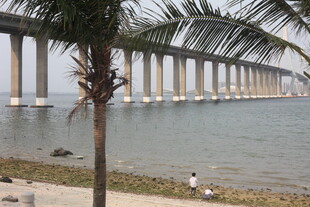 湛江海边长桥与岸边椰树景观