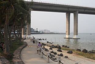 湛江海滨公路旁的桥梁风景