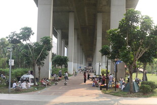 湛江桥下休闲小天地