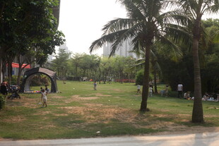 湛江城市公园休闲绿地景观