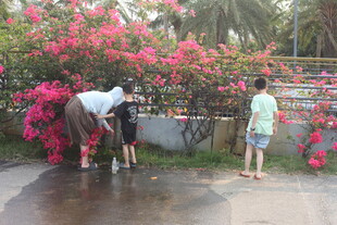 湛江路边赏景的人们