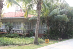 湛江绿荫环绕的温馨小屋