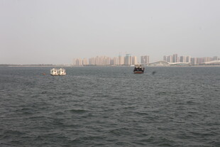 湛江海上船只与远处城市景观