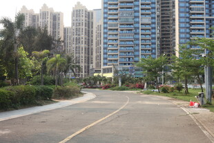 湛江城市道路旁的高楼景观