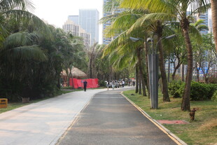 湛江城市林荫步道景观