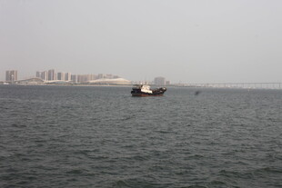 湛江海上孤舟与远处城市景观
