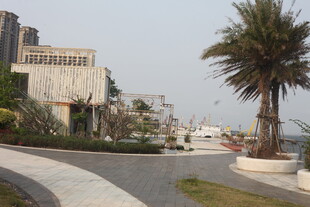 湛江海滨道路旁的建筑与棕榈树