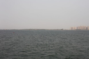 湛江广阔海面与远处建筑景观