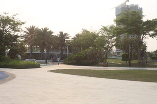 湛江城市中的开阔公园景观