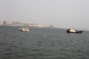 湛江海上船只与远处城市景观