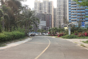 湛江城市街道旁的高楼与绿植