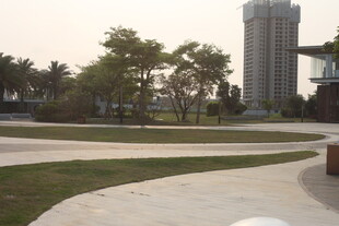 湛江城市公园中的休闲步道景观