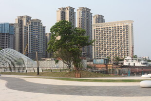 湛江城市景观中的绿植与建筑