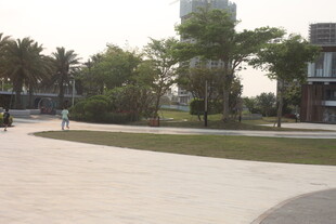 湛江城市公园开阔休闲场景