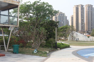 湛江城市中的休闲户外景观