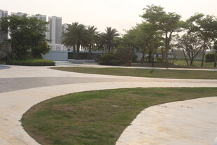 湛江城市公园景观小道