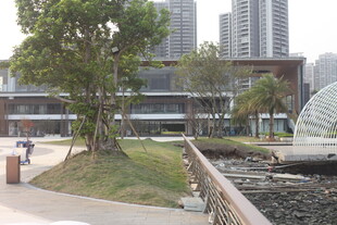 湛江城市河畔公园优美景致