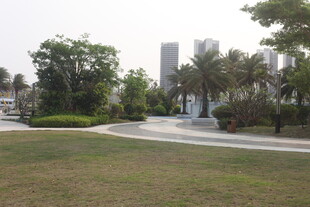 湛江城市公园中的开阔休憩空间
