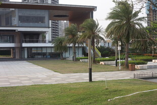 湛江现代风格建筑与绿化景观