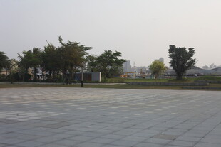 湛江空旷广场与树木景观