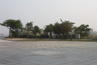 湛江海滨广场景观