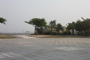 湛江空旷广场与周边绿树景观