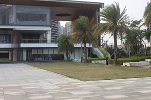 湛江现代建筑旁的绿植景观