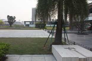 湛江户外树木旁的休闲场景