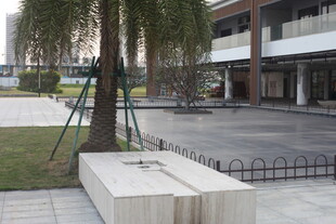 湛江校园户外休憩场景