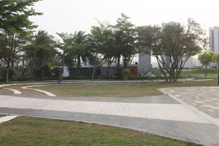 湛江城市中的静谧公园一角
