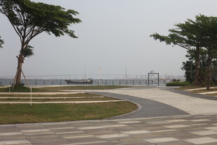 湛江海滨公园弯曲小径美景