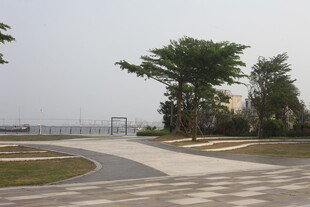 湛江海滨公园的休闲步道景观