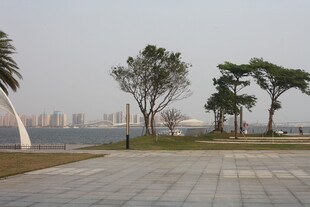 湛江城市广场旁的树木与远景
