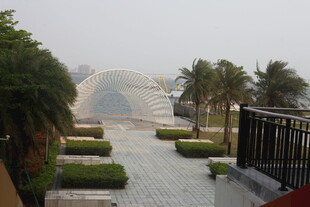 湛江园林景观中的绿植与步道