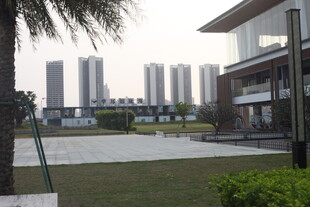 湛江现代都市景观中的建筑与绿植