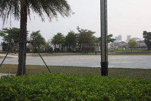 湛江湖边绿植与远处景致