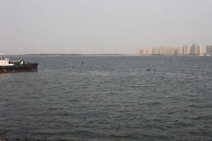 湛江海上船只与远处城市景观