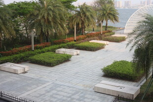 湛江城市中的静谧绿植休憩区