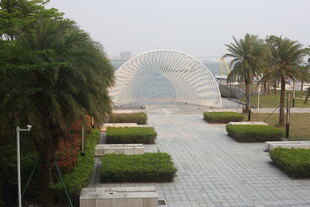 湛江现代建筑旁的绿植景观道