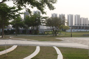 湛江城市公园中的休闲步道