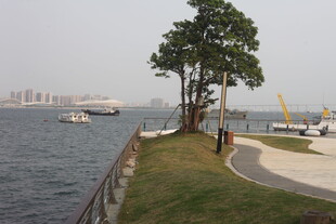 湛江湖畔风景 漫步赏景好去处