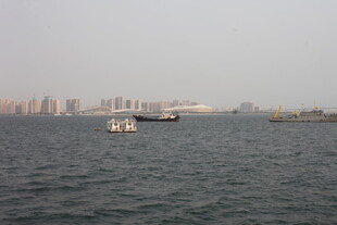 湛江海上船只与远处城市景观