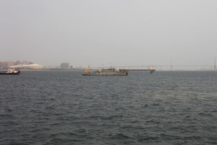 湛江海上船只景象