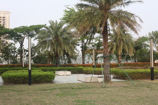 湛江城市中静谧的绿植景观