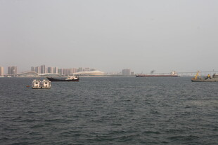 湛江海上船只与远处城市景观