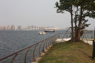 湛江湖畔风景 城市与自然相融