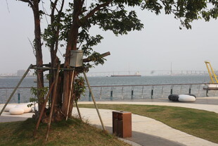 湛江湖畔绿树旁的宁静景致