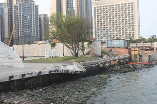 湛江城市河畔风景